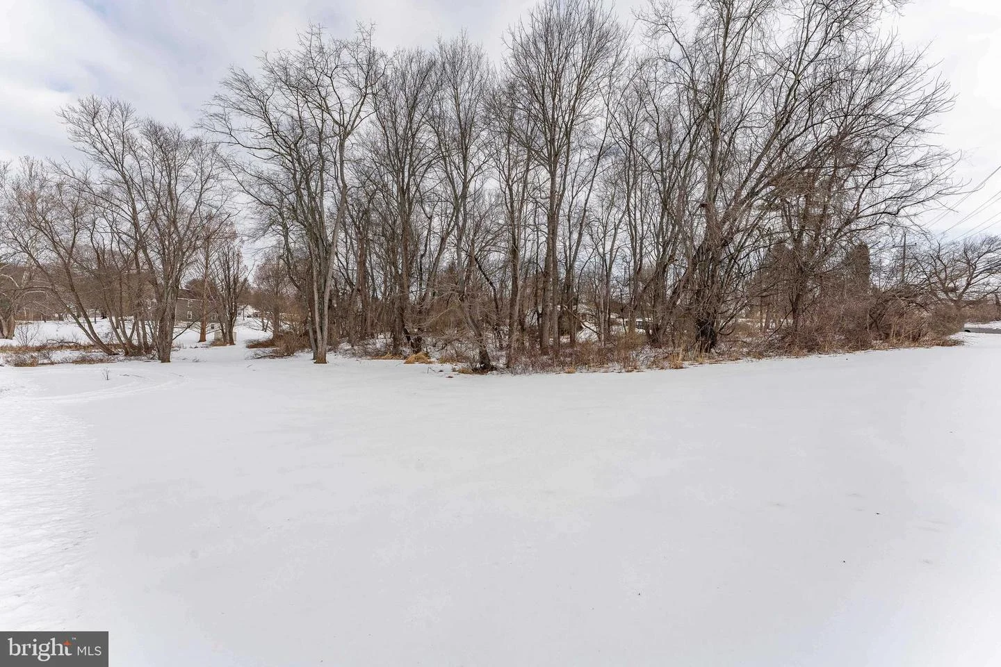 1438 Williamsburg Drive