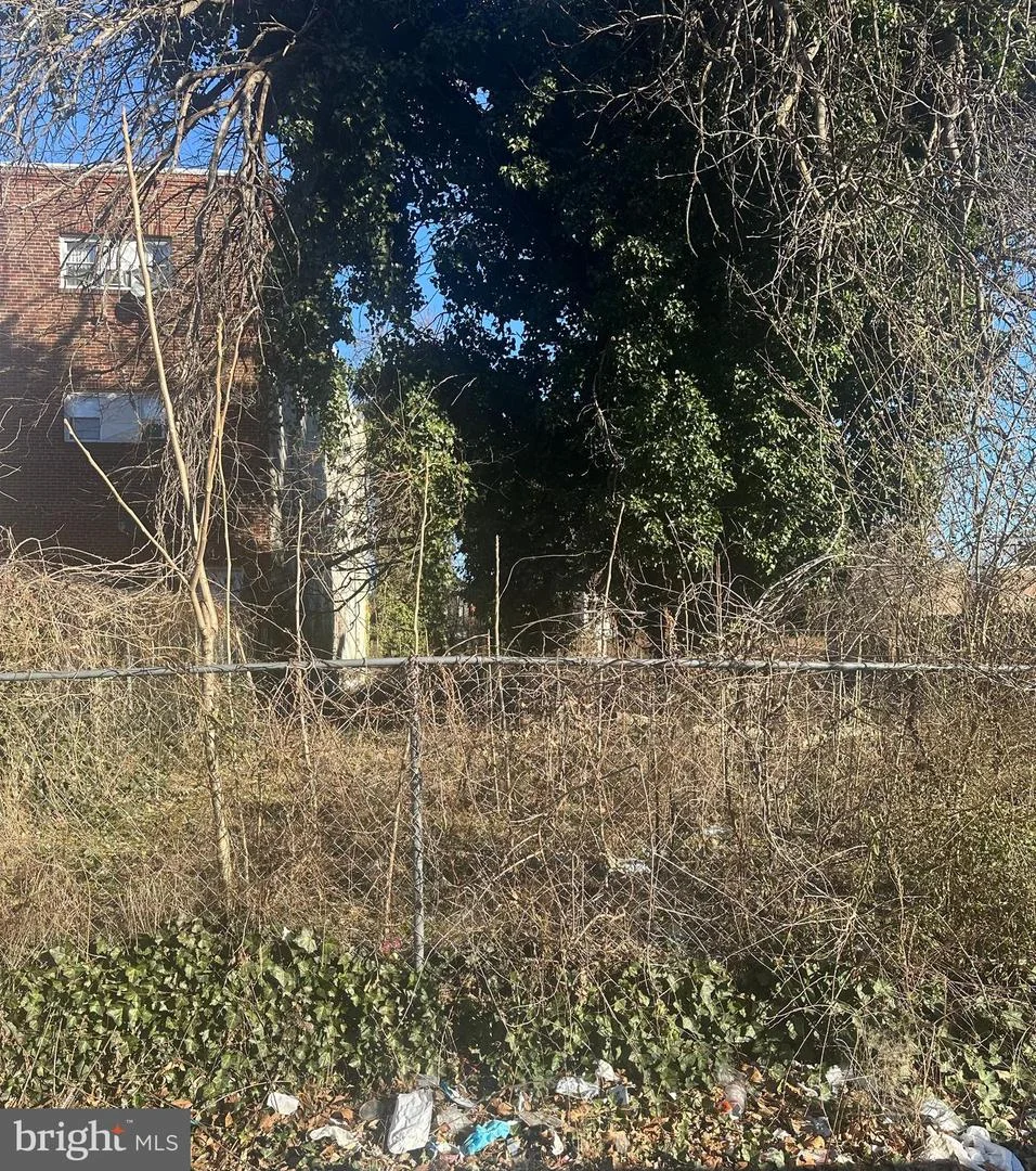 2131 W Venango Street