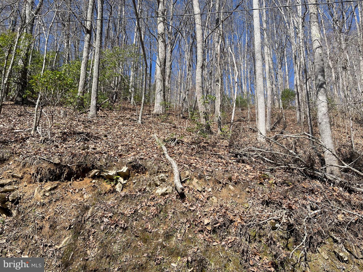 Bear Cove Circle, Bryson City, North Carolina image 6