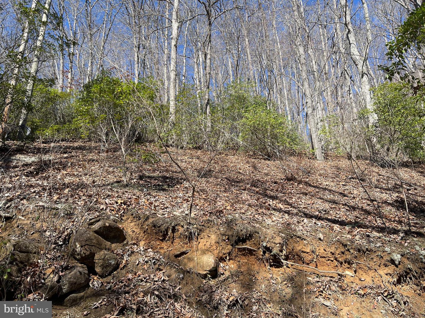 Bear Cove Circle, Bryson City, North Carolina image 5