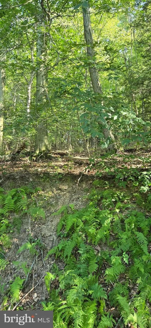 0 Ridge Road