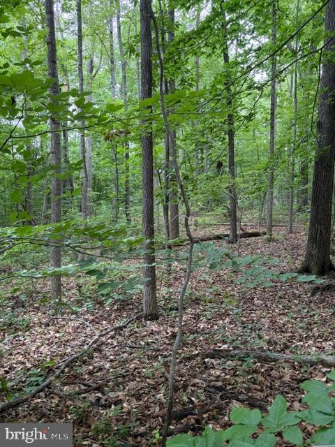 15413 Drummers Lane, Orange, VA, 22960