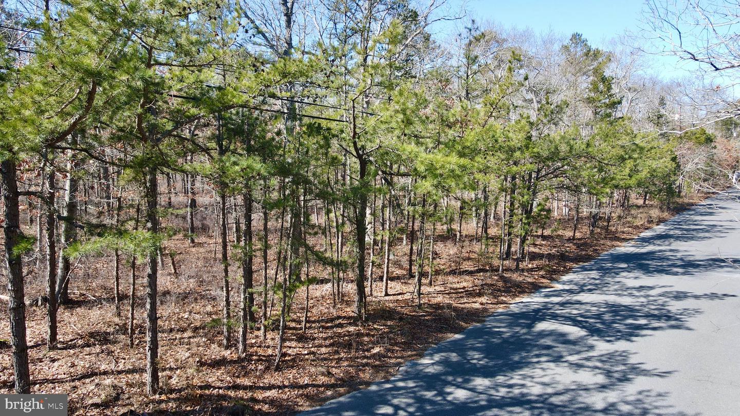 Coxs Crossing Road, West Creek, New Jersey image 1