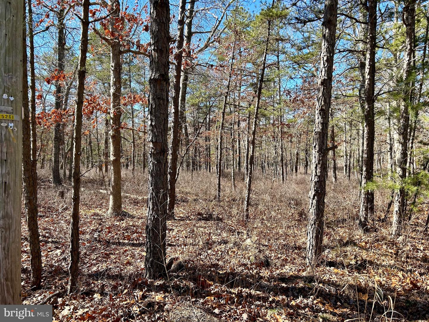 Coxs Crossing Road, West Creek, New Jersey image 3