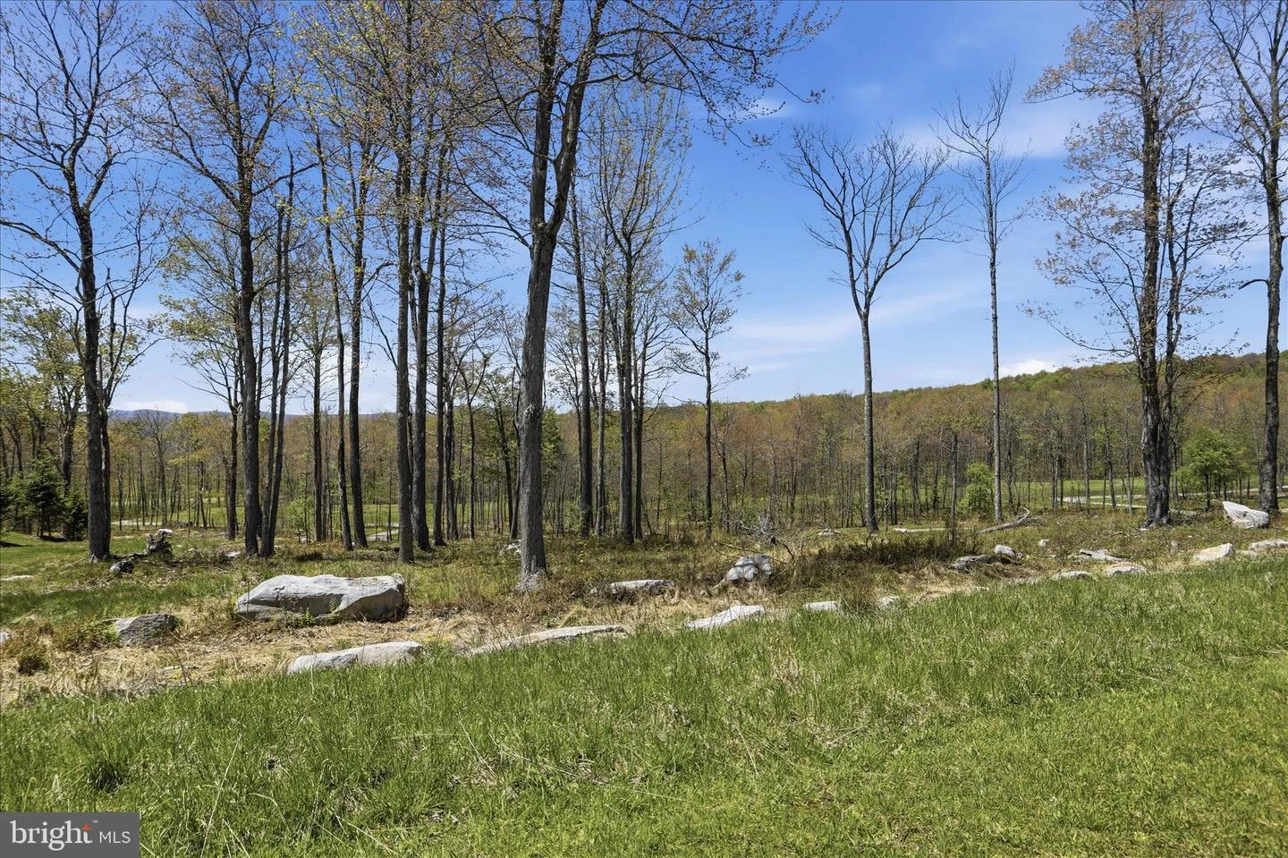 Lot 43 Biltmore Ridge Trail