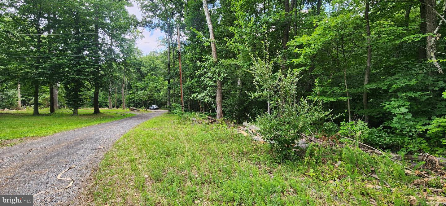 Lot 202 & 203 Bobbie Court, Front Royal, VA, 22630