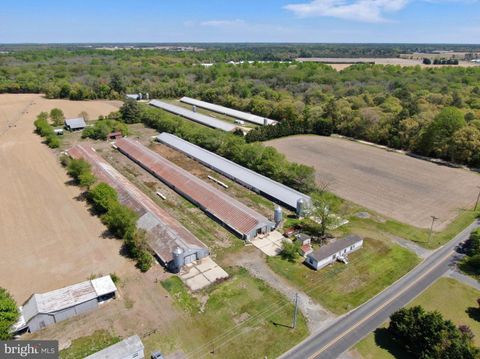 Farm in Laurel DE 12911 Trussum Pond ROAD.jpg