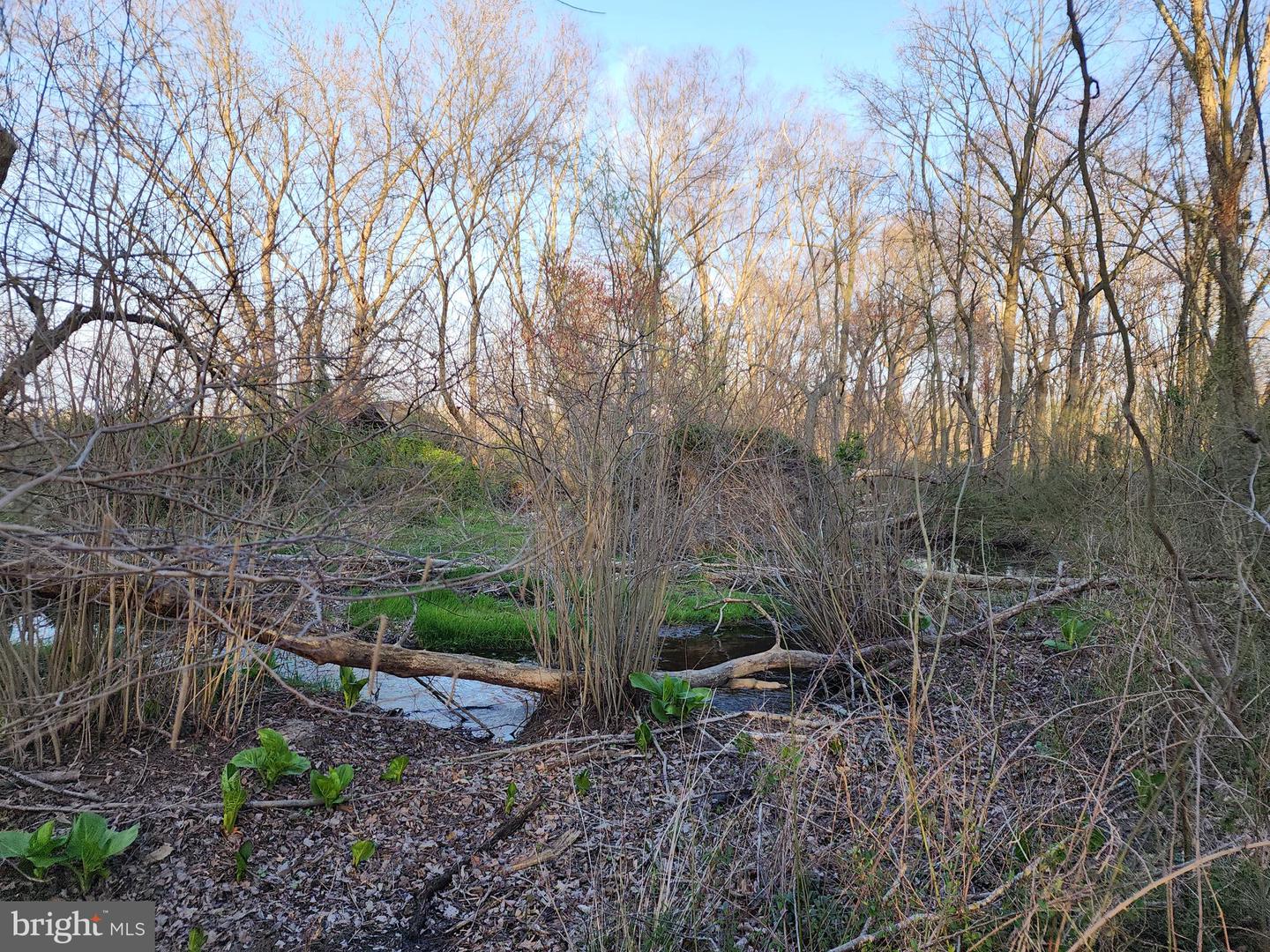 Photo 10 of 11 of 12355 Connelly Rd land