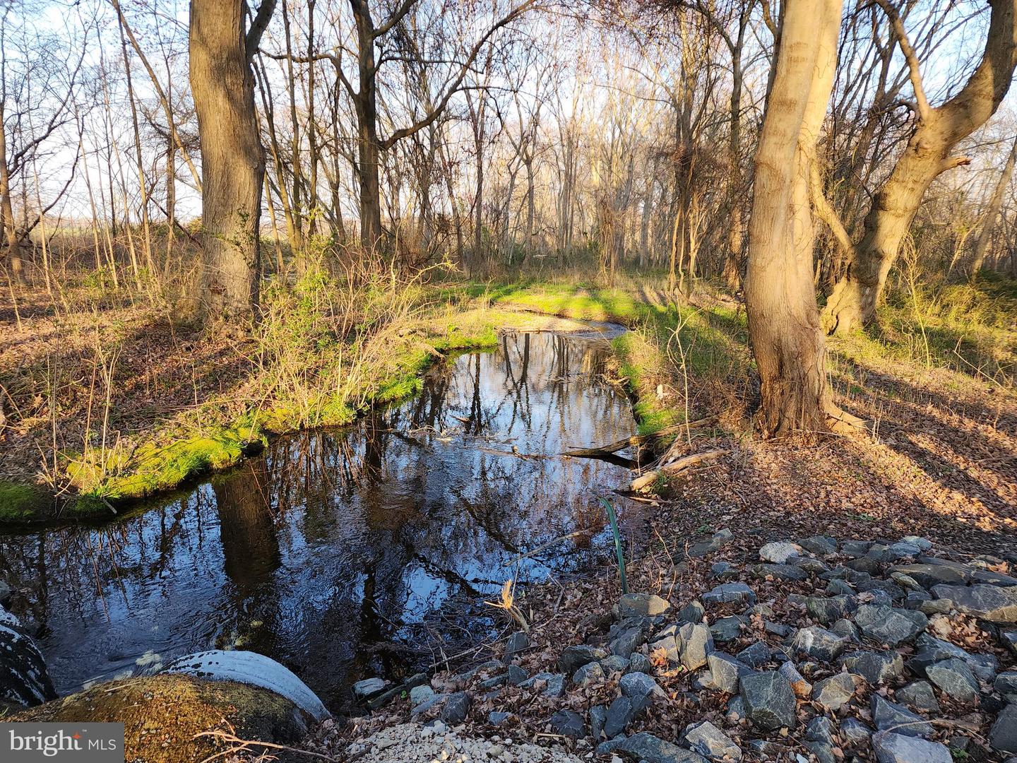 Photo 6 of 11 of 12355 Connelly Rd land