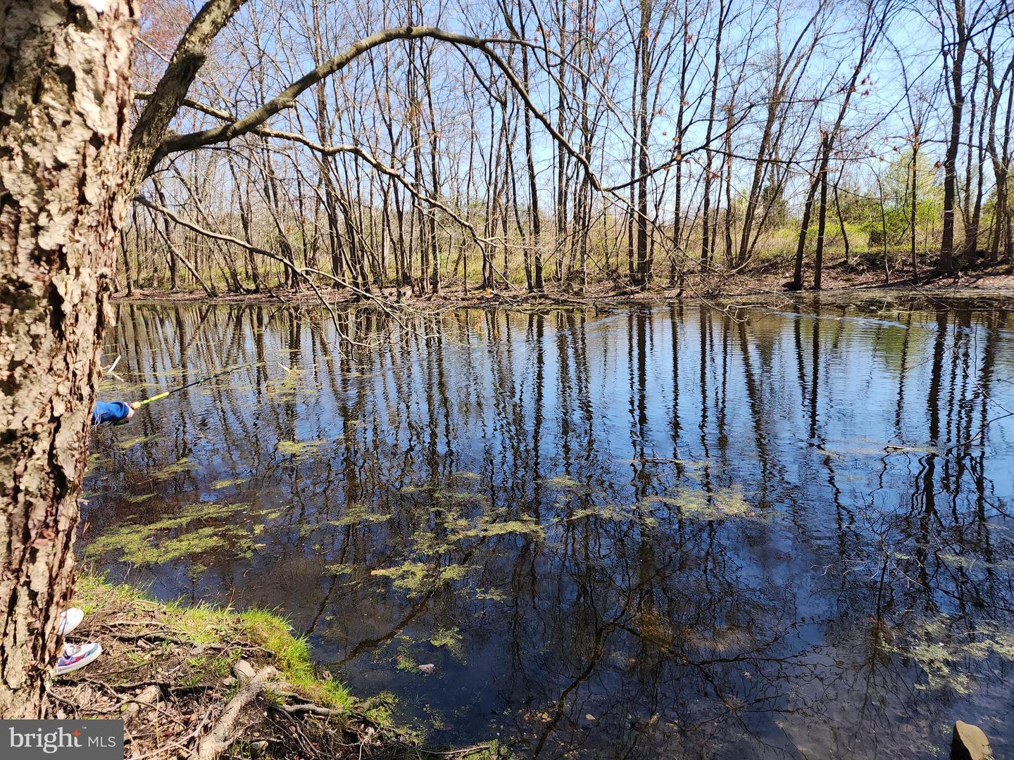 Photo 4 of 11 of 12355 Connelly Rd land