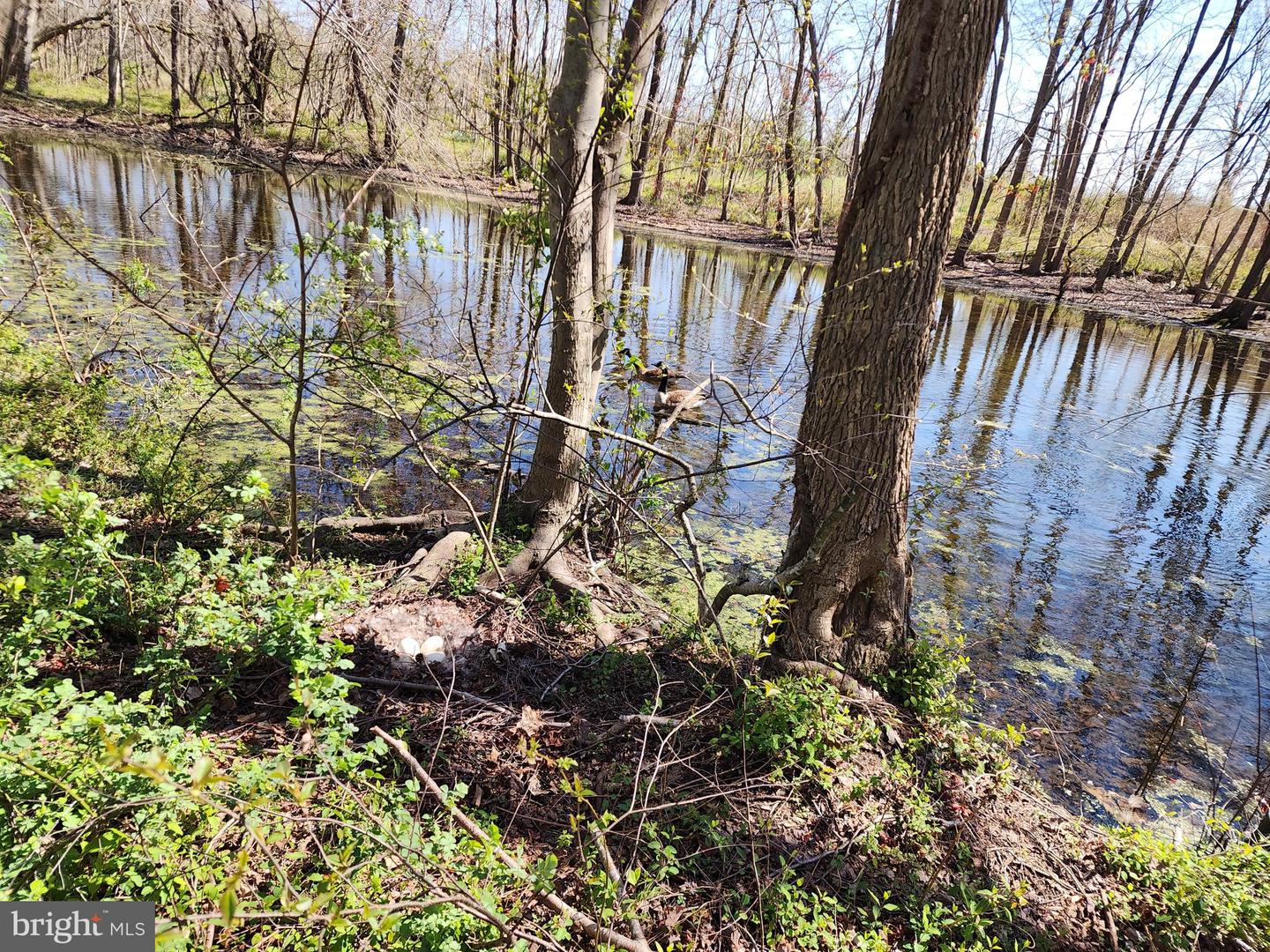 Photo 5 of 11 of 12355 Connelly Rd land