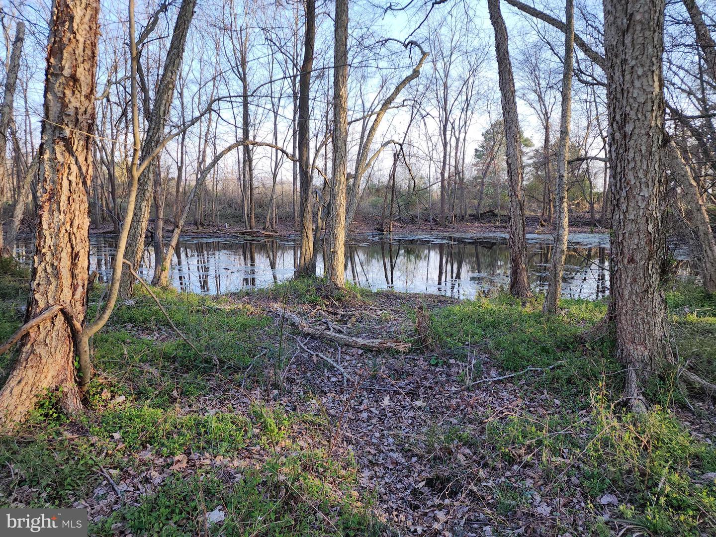 Photo 7 of 11 of 12355 Connelly Rd land