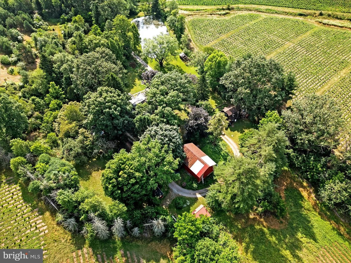 126 Pineview Lane, New Ringgold, PA, 17960
