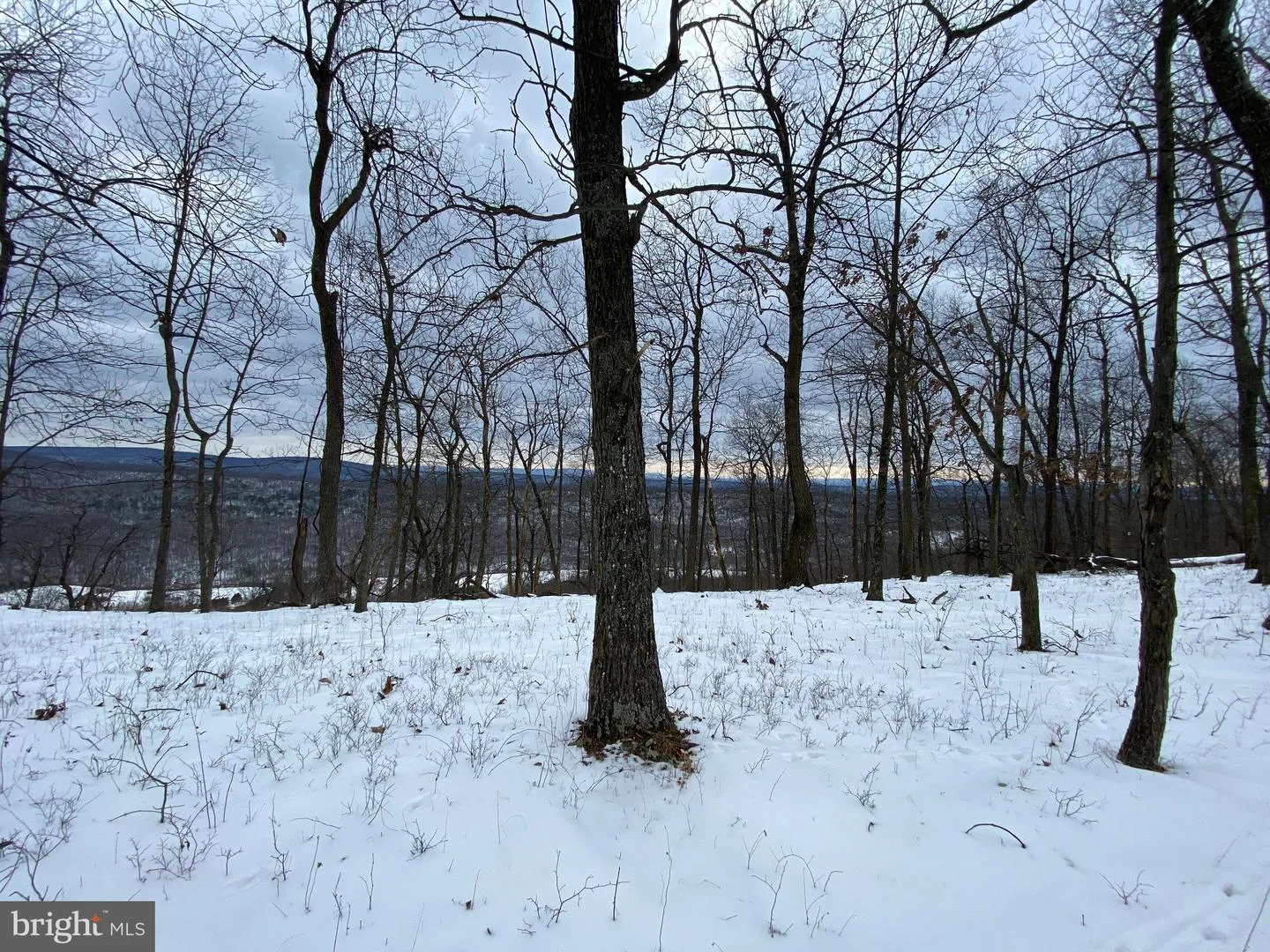 1872 Monroe Mountain Road Rd
