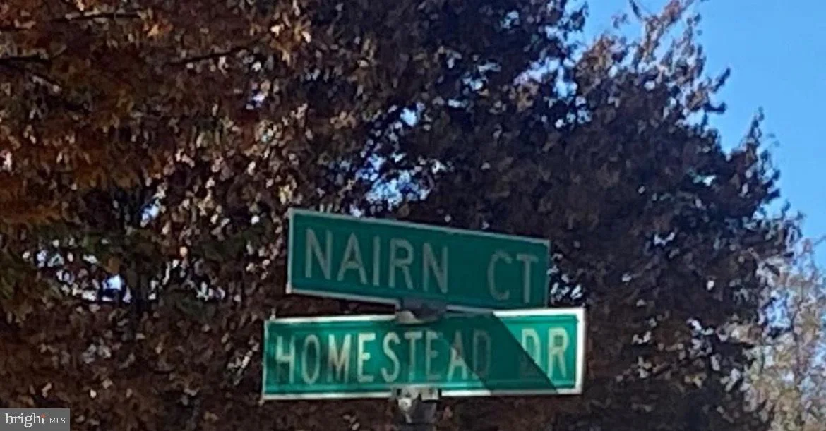 317 Nairn Court