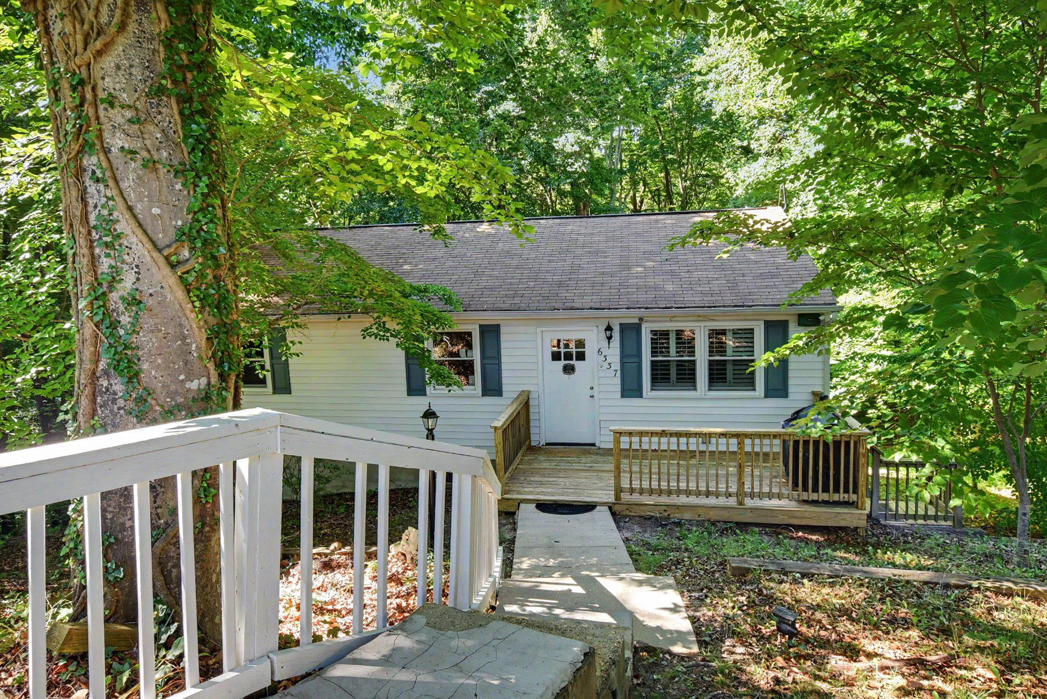 6337 Dory Court