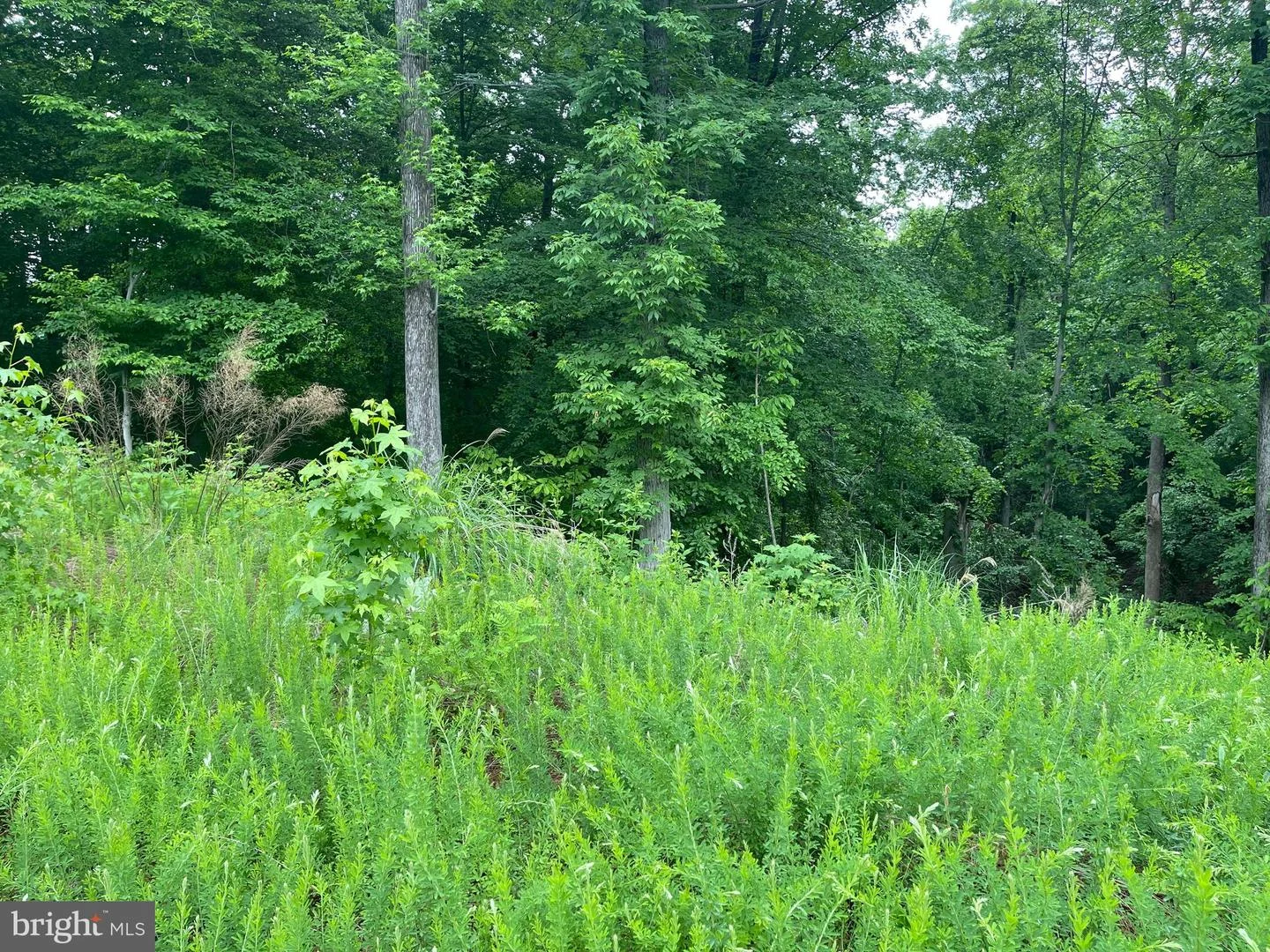 Lot 24 Compass Court