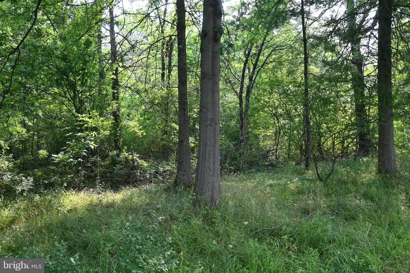 455 East Paletown Road E Paletown Road Road, Quakertown, PA, 18951