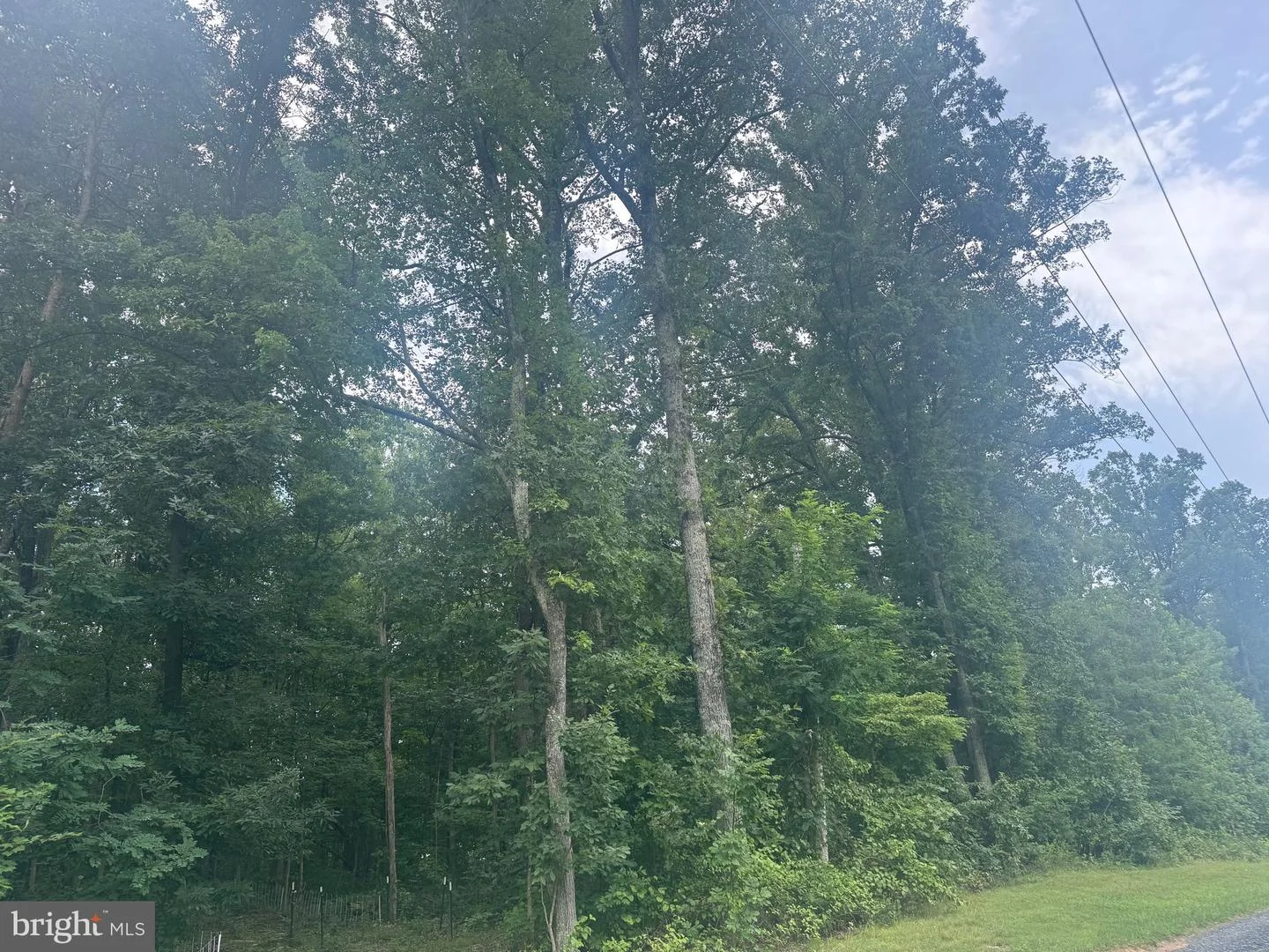 Elihu Hill Rd, Marshall, VA, 20115