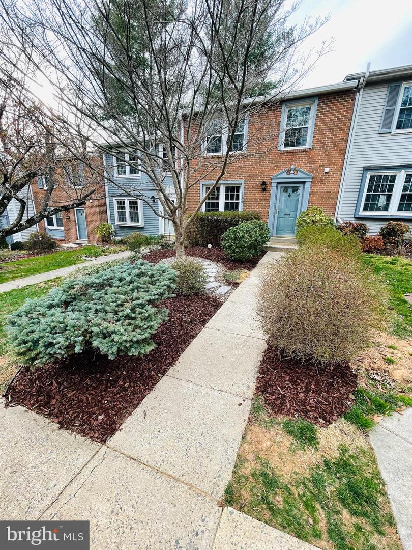 11537 Ivy Bush Ct