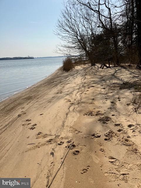 Tayloes Neck Road, Nanjemoy, Maryland image 2