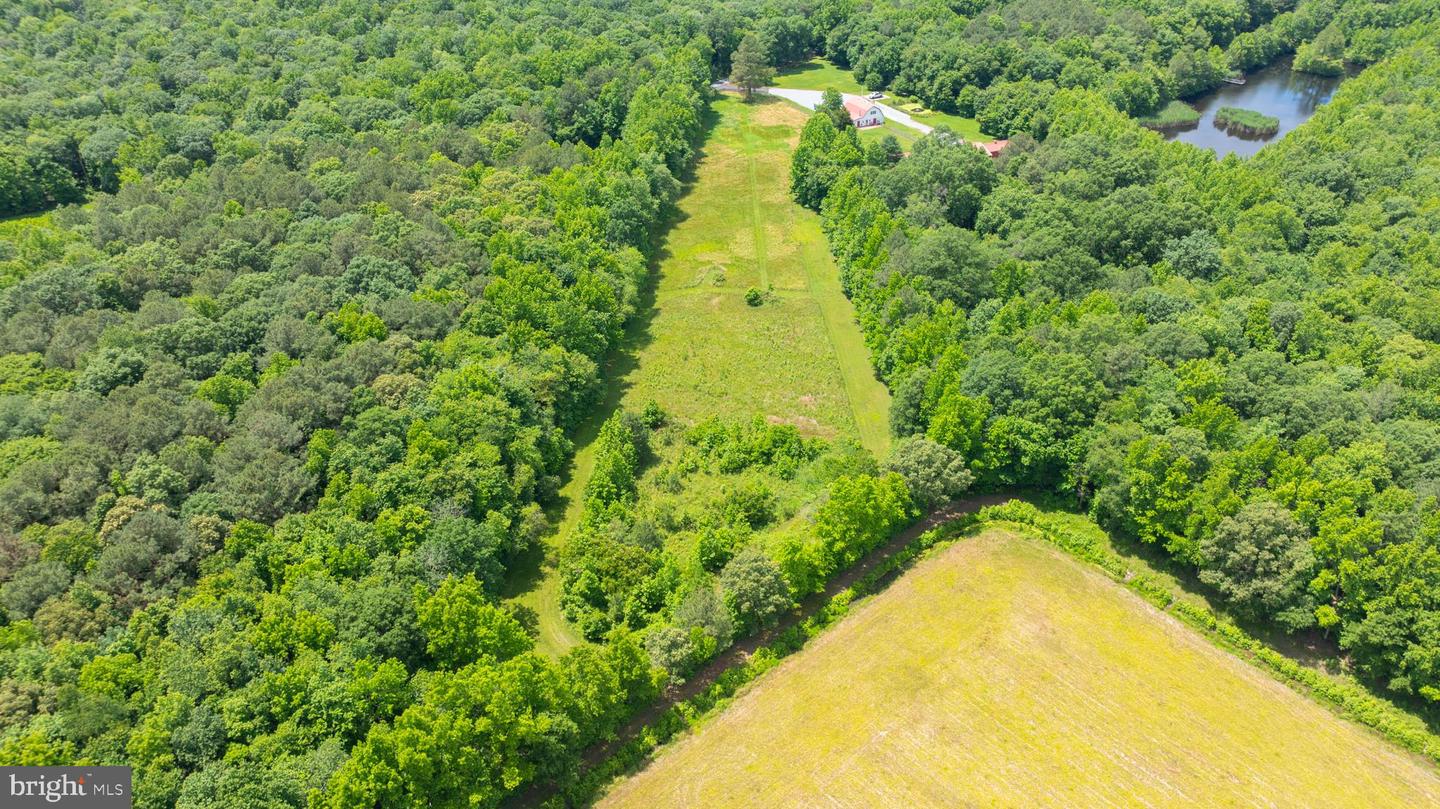 Photo 40 of 41 of 800 Pine Pitch Rd land