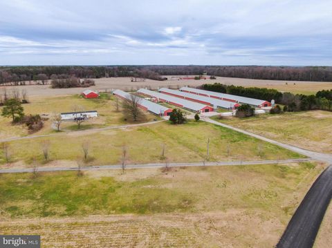 Farm in Bridgeville DE 5157 Hartzell ROAD.jpg