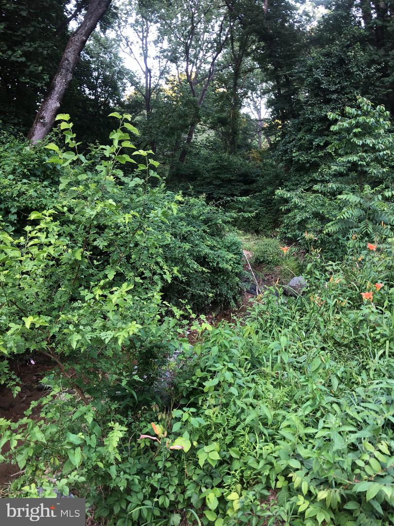 Photo 18 of 22 of Woodfield Rd Woodfield land