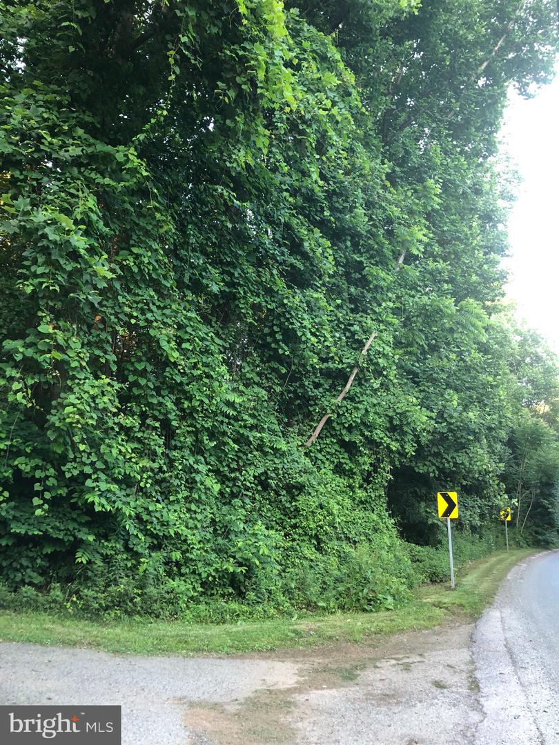 Photo 16 of 22 of Woodfield Rd Woodfield land