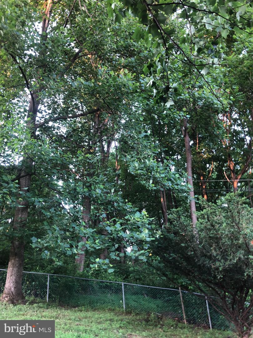 Photo 10 of 22 of Woodfield Rd Woodfield land