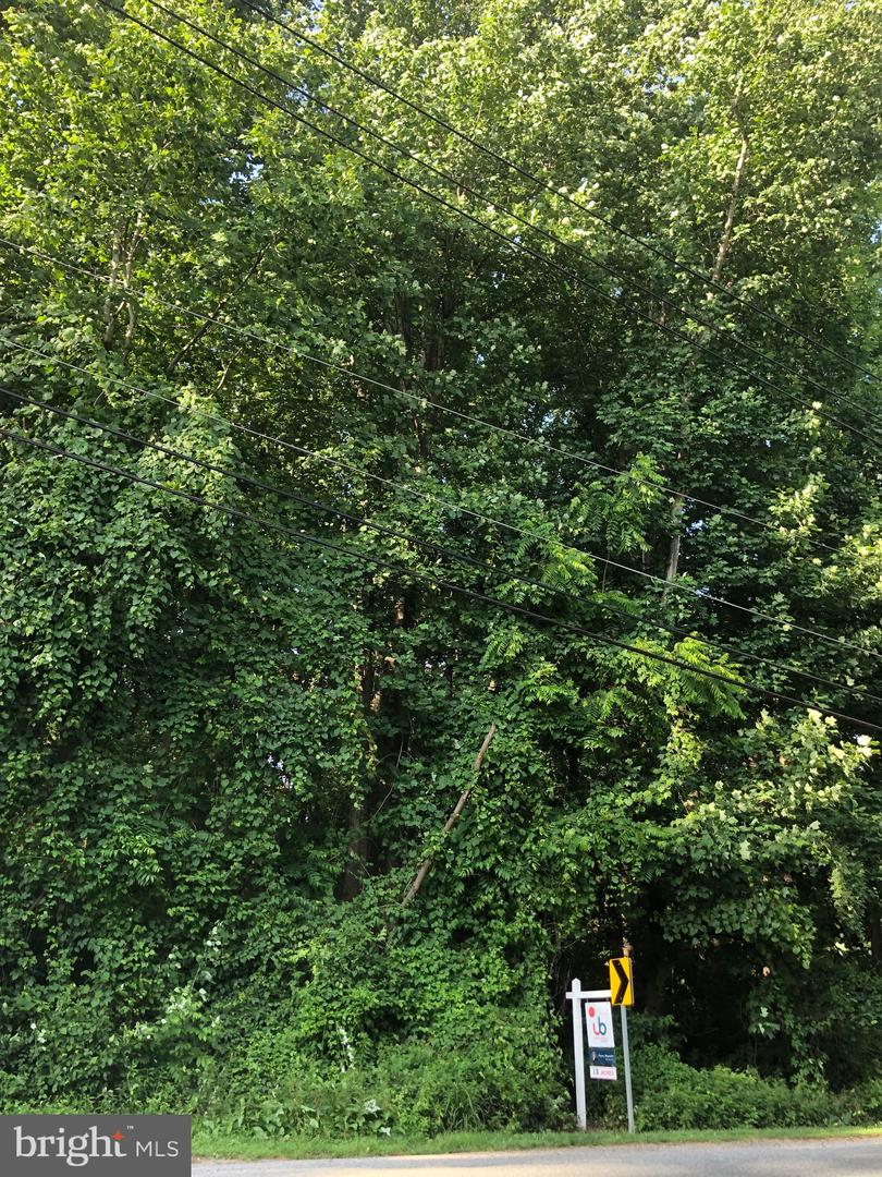 Photo 22 of 22 of Woodfield Rd Woodfield land