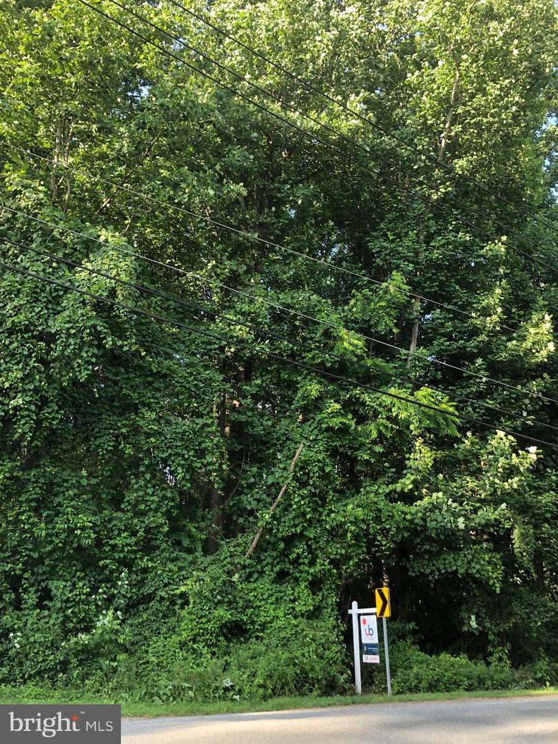 Photo 21 of 22 of Woodfield Rd Woodfield land