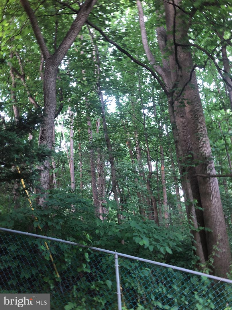 Photo 9 of 22 of Woodfield Rd Woodfield land