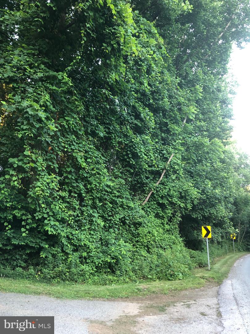 Photo 15 of 22 of Woodfield Rd Woodfield land