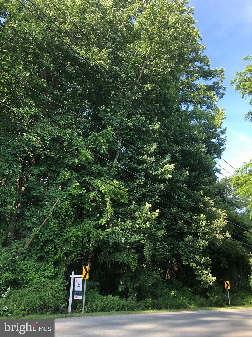 Photo 4 of 22 of Woodfield Rd Woodfield land