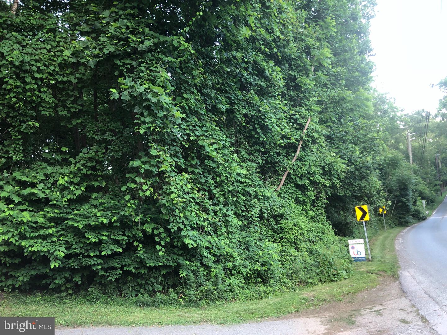 Photo 5 of 22 of Woodfield Rd Woodfield land