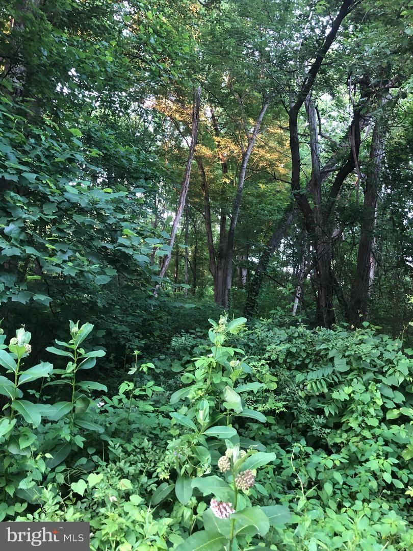 Photo 17 of 22 of Woodfield Rd Woodfield land