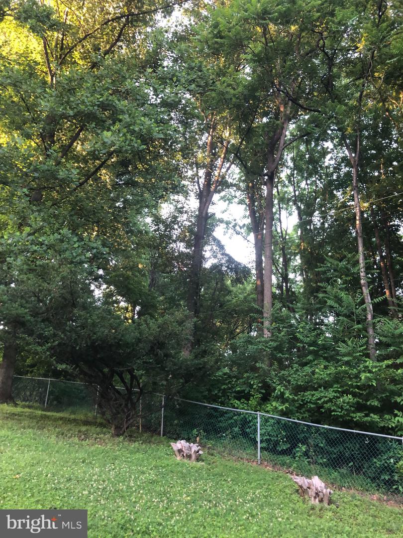 Photo 11 of 22 of Woodfield Rd Woodfield land