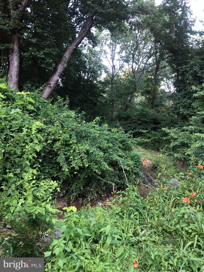 Photo 12 of 22 of Woodfield Rd Woodfield land