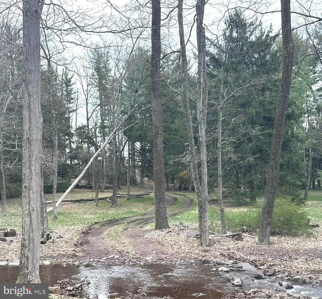 565 Cafferty Road, Ottsville, PA, 18942