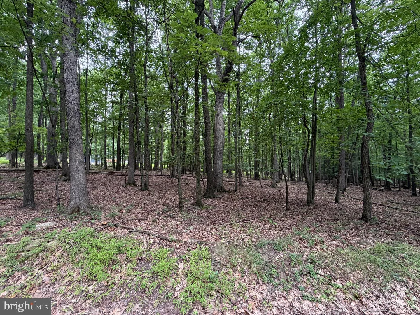 655 Aspen Drive, Zion Grove, PA, 17985