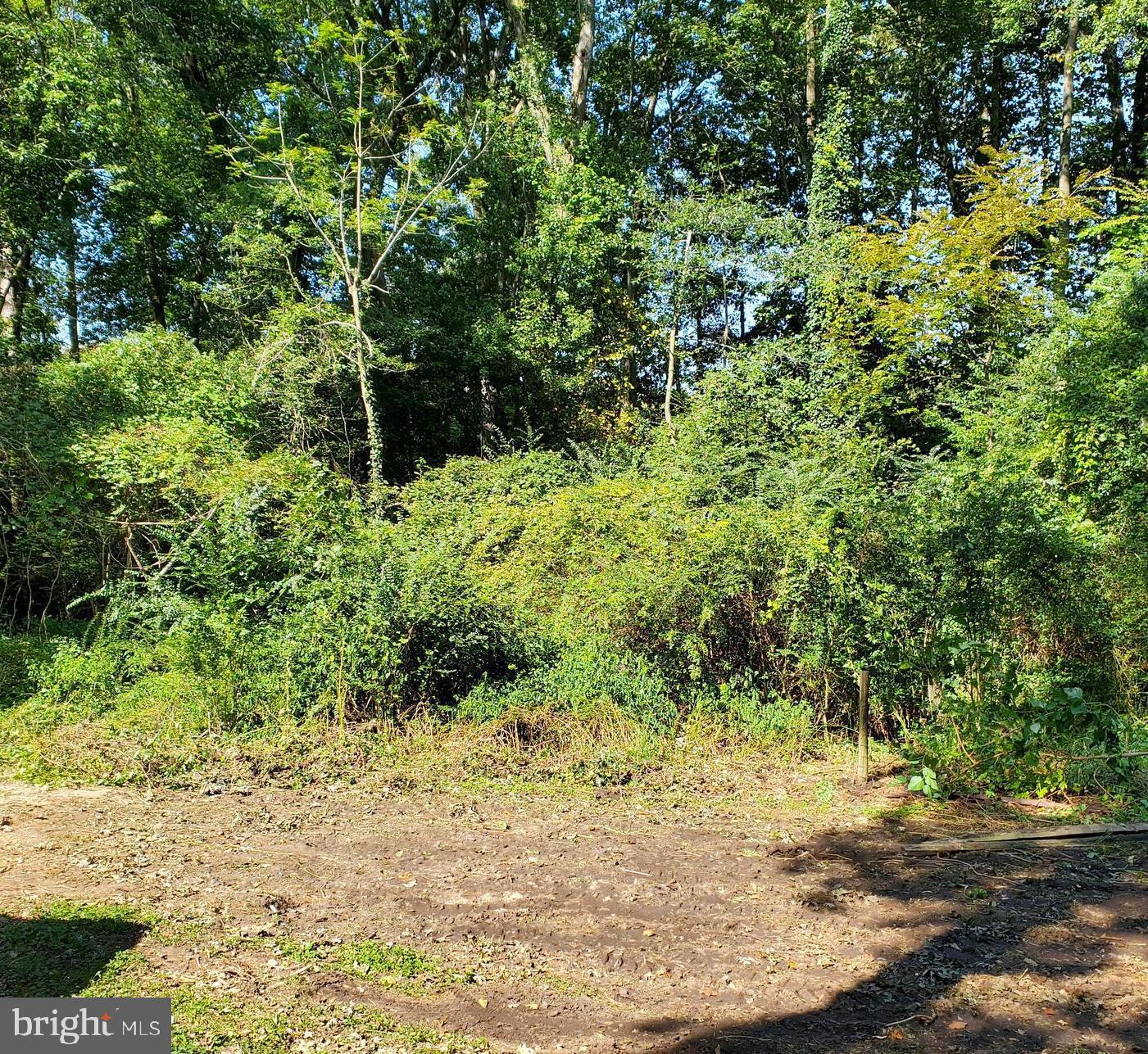 Lot 5.12 Beach Highway (rt 16) Ct, Ellendale, Delaware image 1