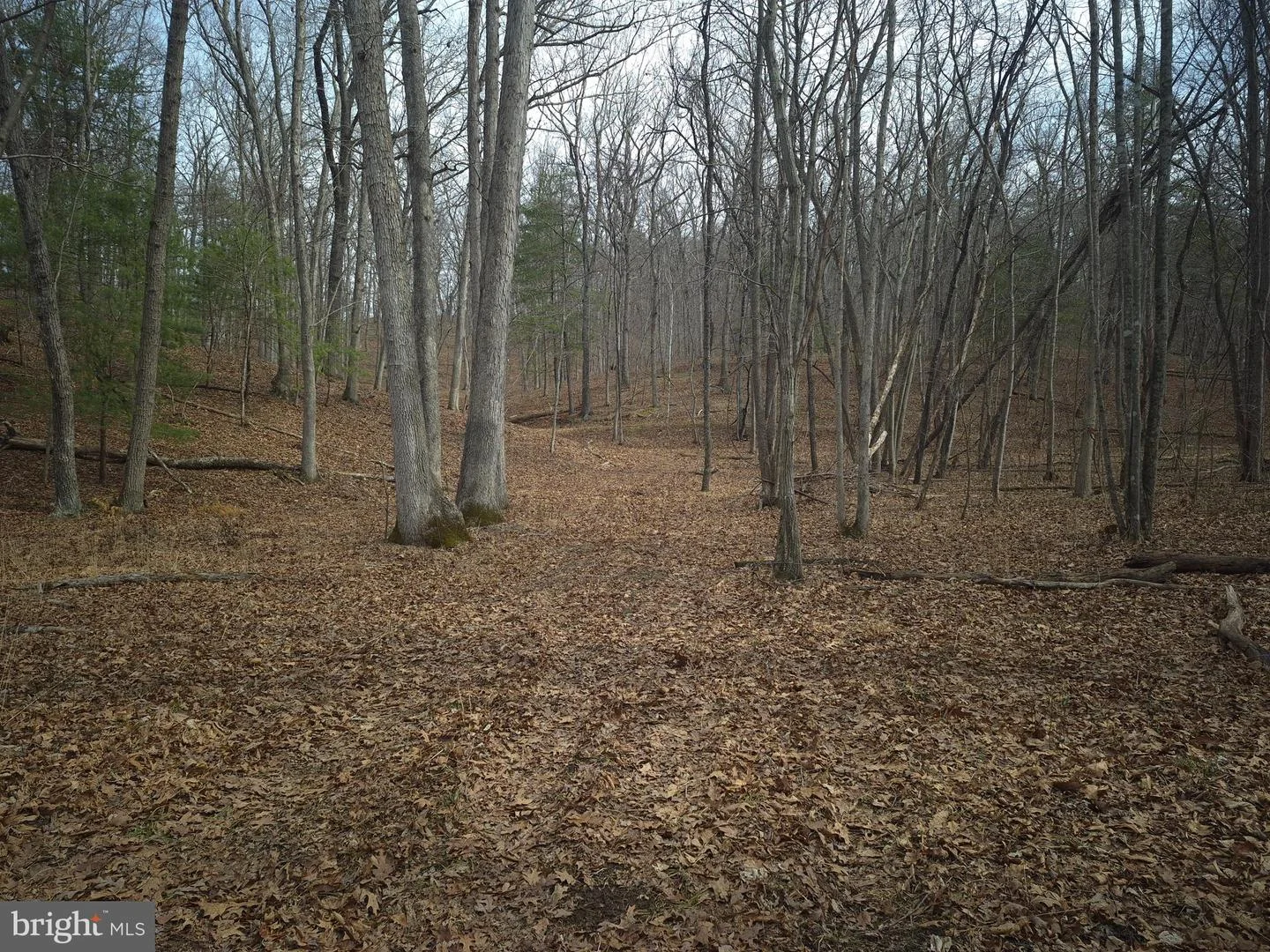 Lot 16 Hodges Lane