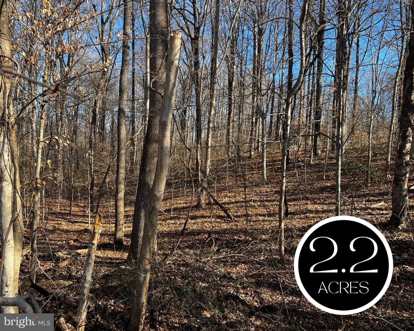 6299 Mckendree Road, Dunkirk, MD, 20754