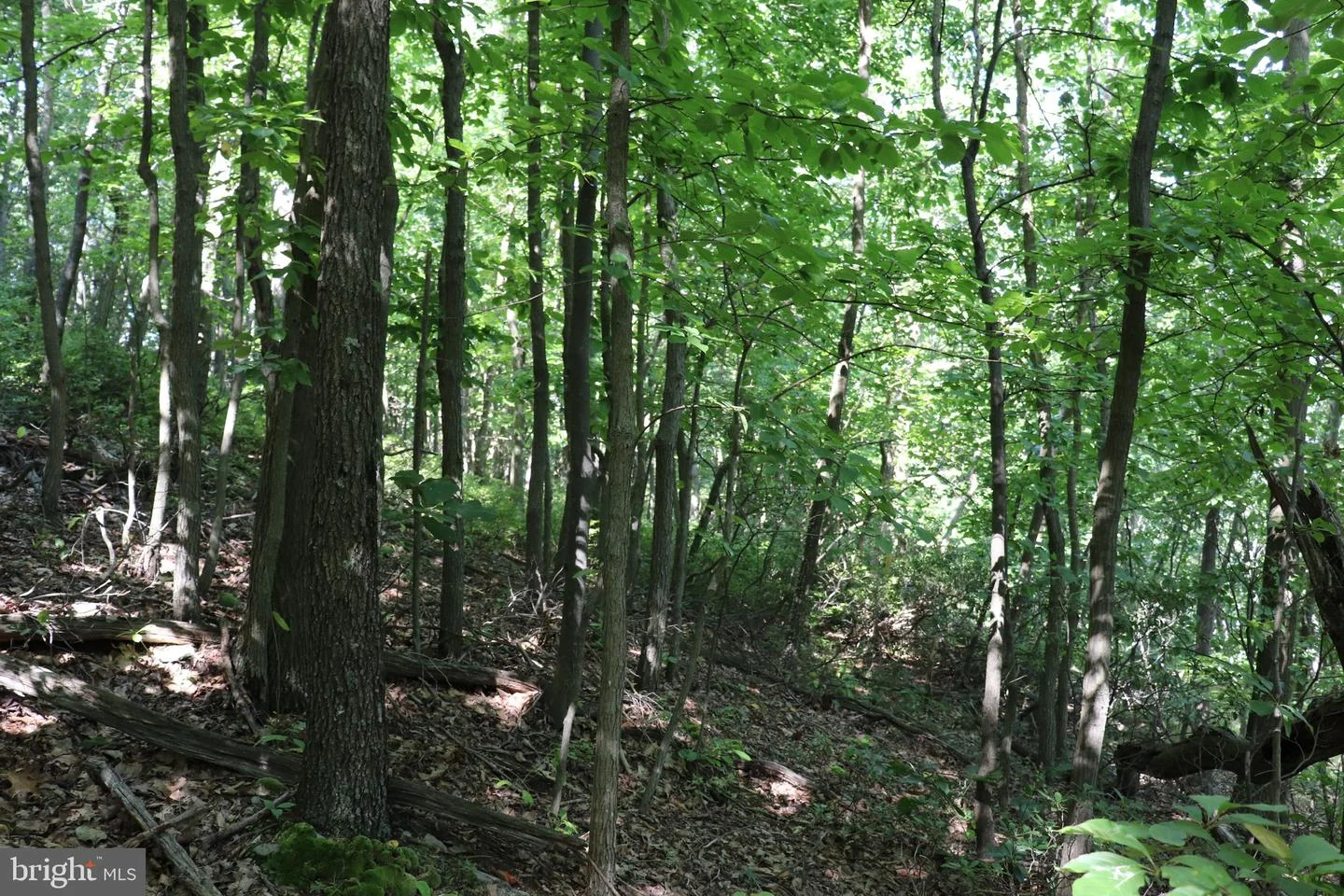 Lot 320 Ridge Run, Claysburg, PA, 16625