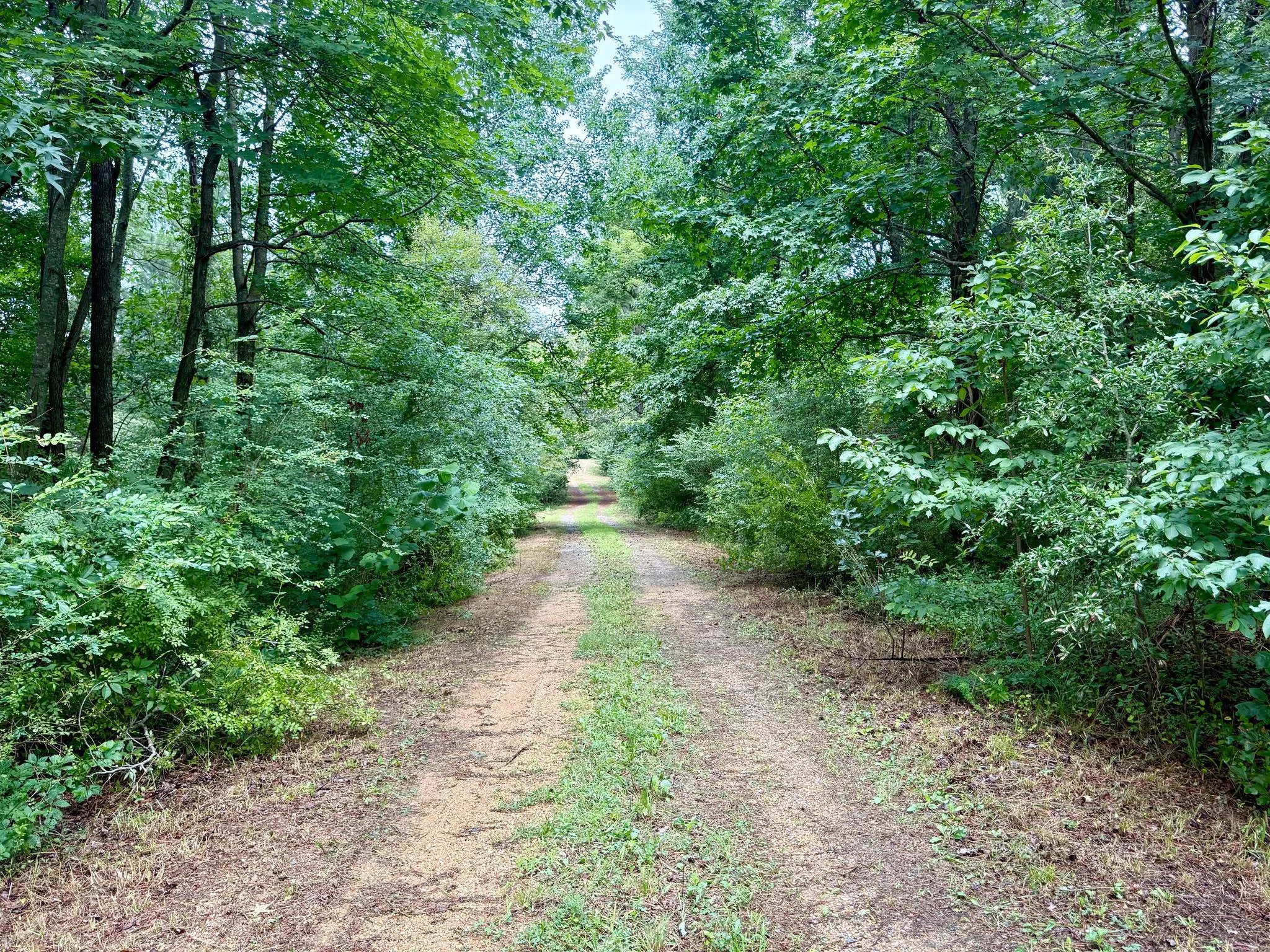 45291 Take It Easy Ranch Road, Callaway, MD, 20620