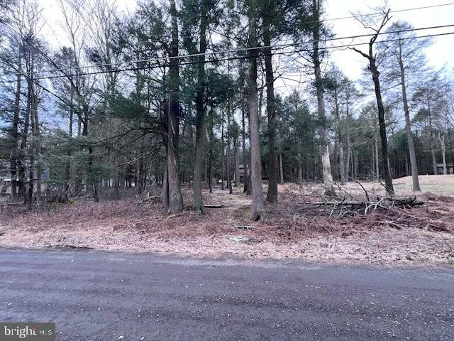 6 Poplar Lane