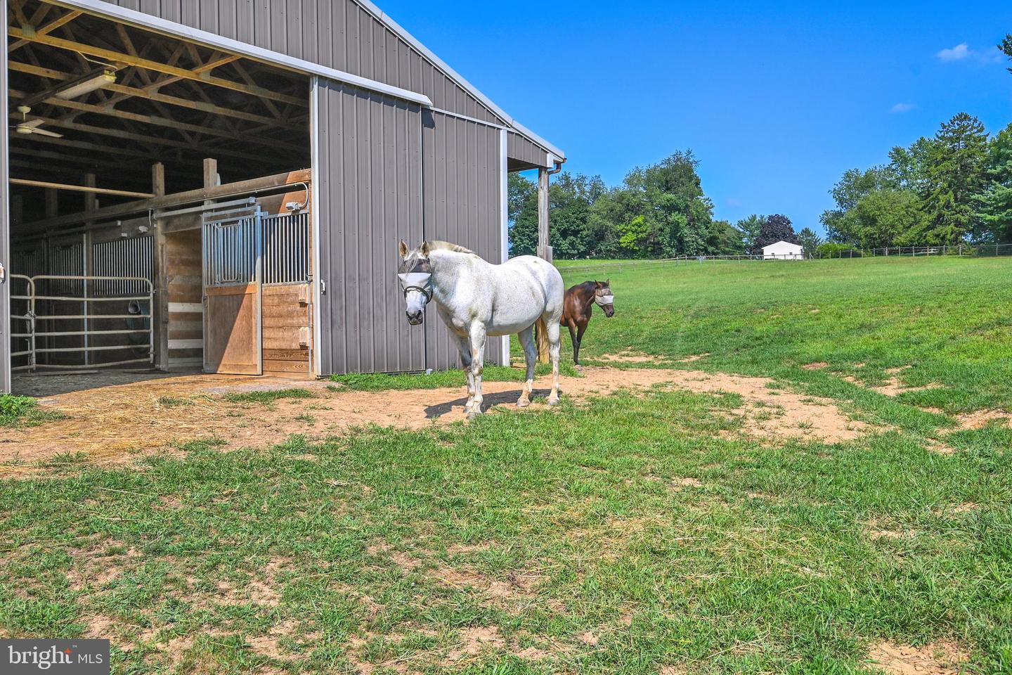 Photo 11 of 66 of 1560 Bollinger Rd land