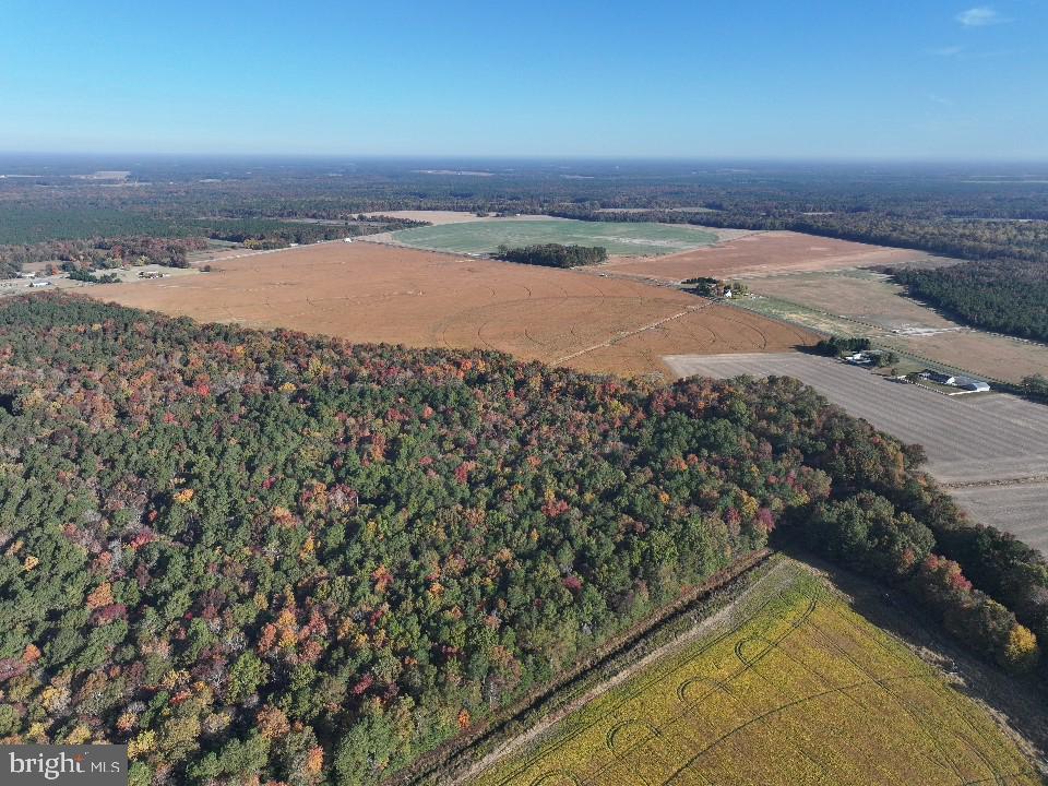 Houston Branch Road, Federalsburg, Maryland image 7