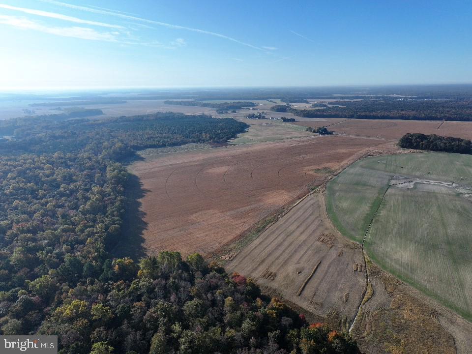 Houston Branch Road, Federalsburg, Maryland image 4